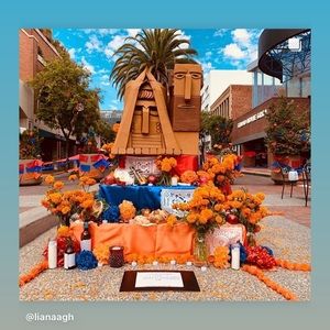 Meet your Posher, Marita